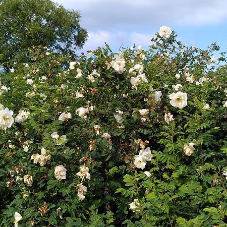 Lilla Mysstuga I Havsnaera Varberg Extérieur photo